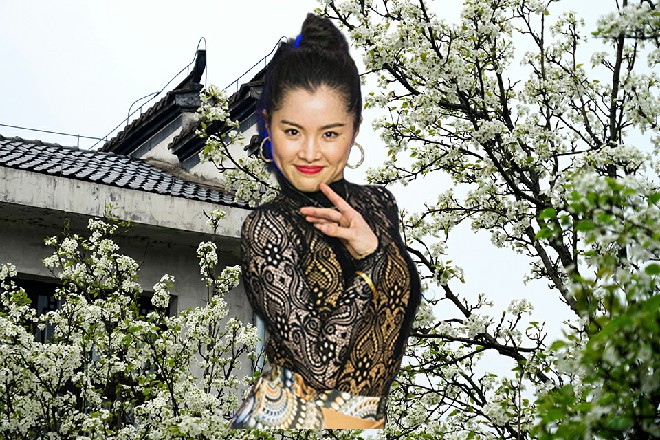 诺曦S并不知道几个城主的心思，他现在正是春风得意