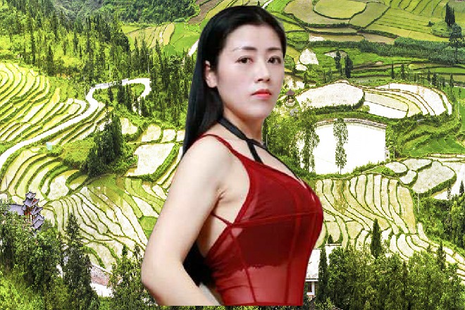 这种对王的忠诚，就像是系统设定好的一样，永远无法改变