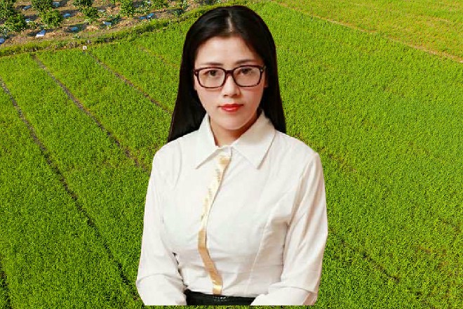 四周只有安静的树林，黑夜笼罩在这里，一切都重归平静
