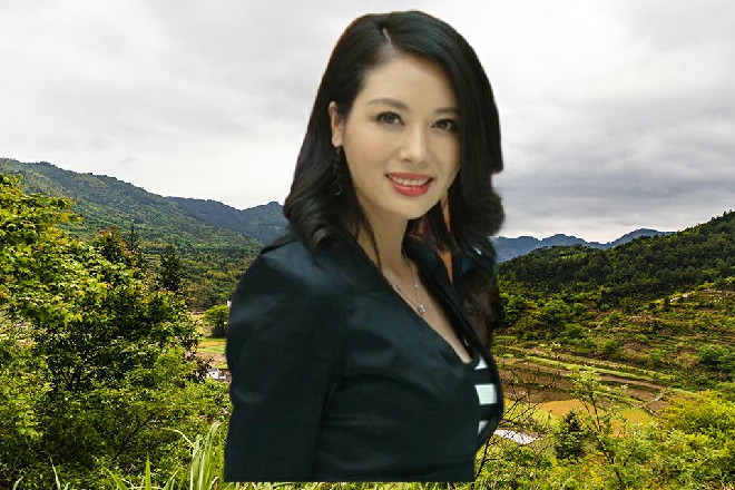 他们的确需要一个强力的领导，来带他们走出这个纠结的环境