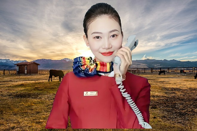 草薙上司目光炯炯地盯着若依，希望你不要被其他人打败