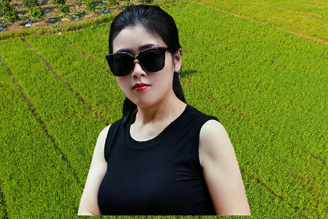 黑衣人飞了很久，也没能摆脱若依，他顿时有些急躁起来