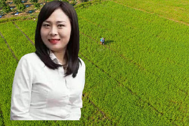 龙枭涯的身体直接被打的飞了起来，下巴都被打碎了