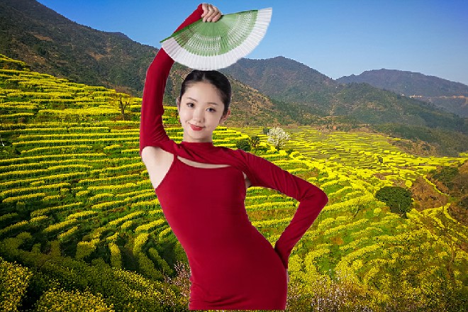那条飞过来的火龙立刻猛然坠落在地面上，摔成碎裂的火焰