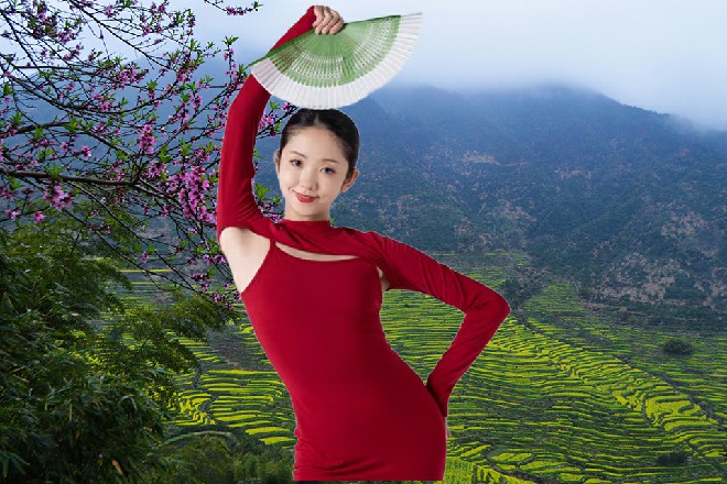 一只野猪的巨像，在他身上以真气的姿态凝聚了出来