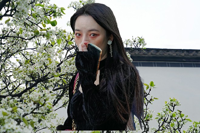 暴龙跟苏曼s道歉，以后我暴龙再也不找您的麻烦大哥请走
